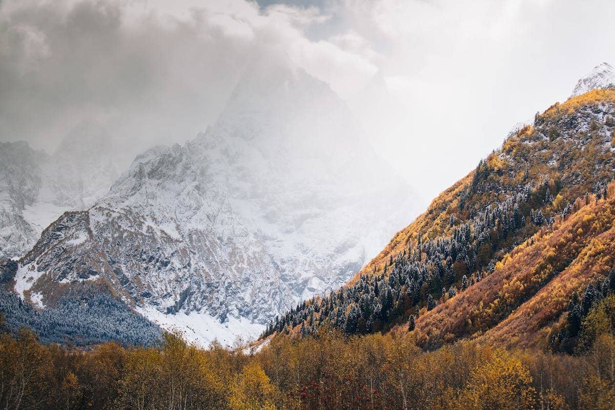 photographie nature