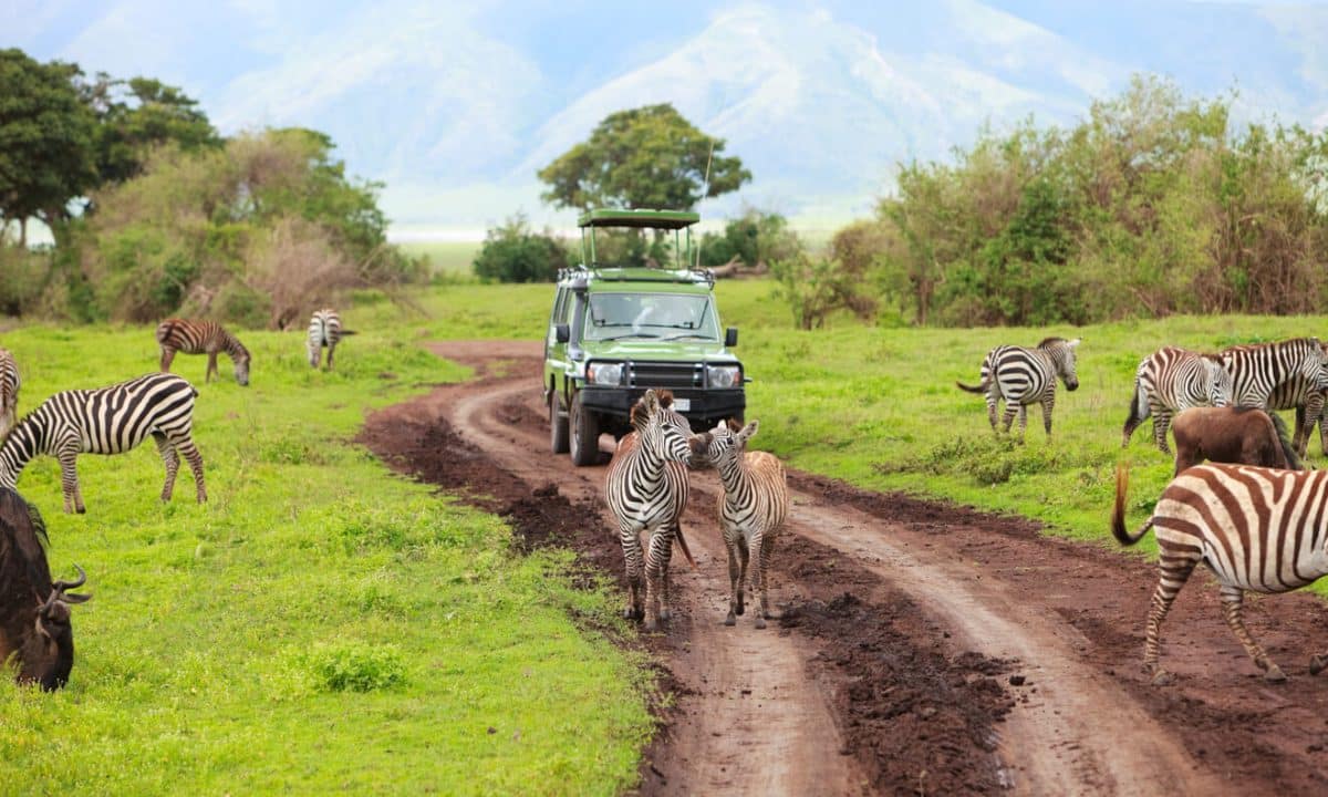Quels sont les endroits à visiter en Tanzanie